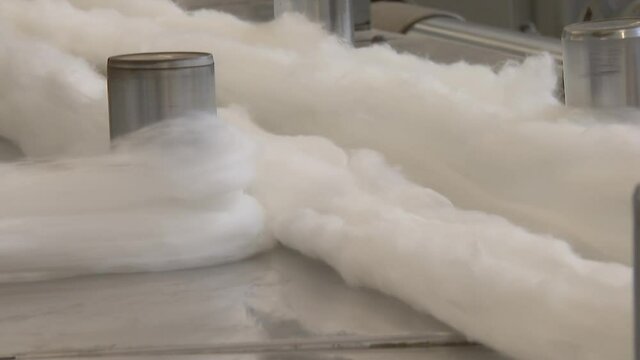 Textile industry, production of fabrics and threads from cotton and wool.