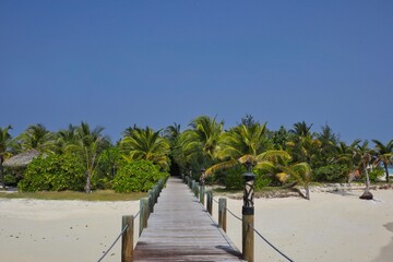Wooden Walkway leading to Green Palm Trees on Sandy Beach in Maldives. Wooden Path in Maldivian Resort.