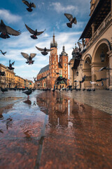 Fototapety na wymiar - Fototapeta24.pl