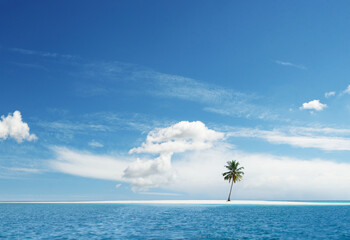 Fototapeta na wymiar Idyllic paradise tropical island with palm