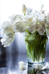 Vintage with white tulips die vase on white background for concept design. Spring tulips, bouquet. Beautiful spring nature background. Nature love concept. Summer nature view. Holiday concept.