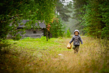 a little boy walks through the woods to a wooden house, selective focus