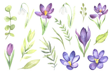 Watercolor floral illustration - leaves and branches bouquets with purple flowers and leaves for wedding stationary, greetings, wallpapers, background. Roses, green leaves. . High quality illustration