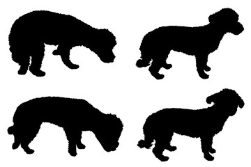 Set of bichon maltese dogs silhouettes isolated on white