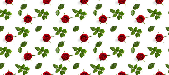 rosebud banner. head of rose bloom isolated on white not seamless pattern, pop art