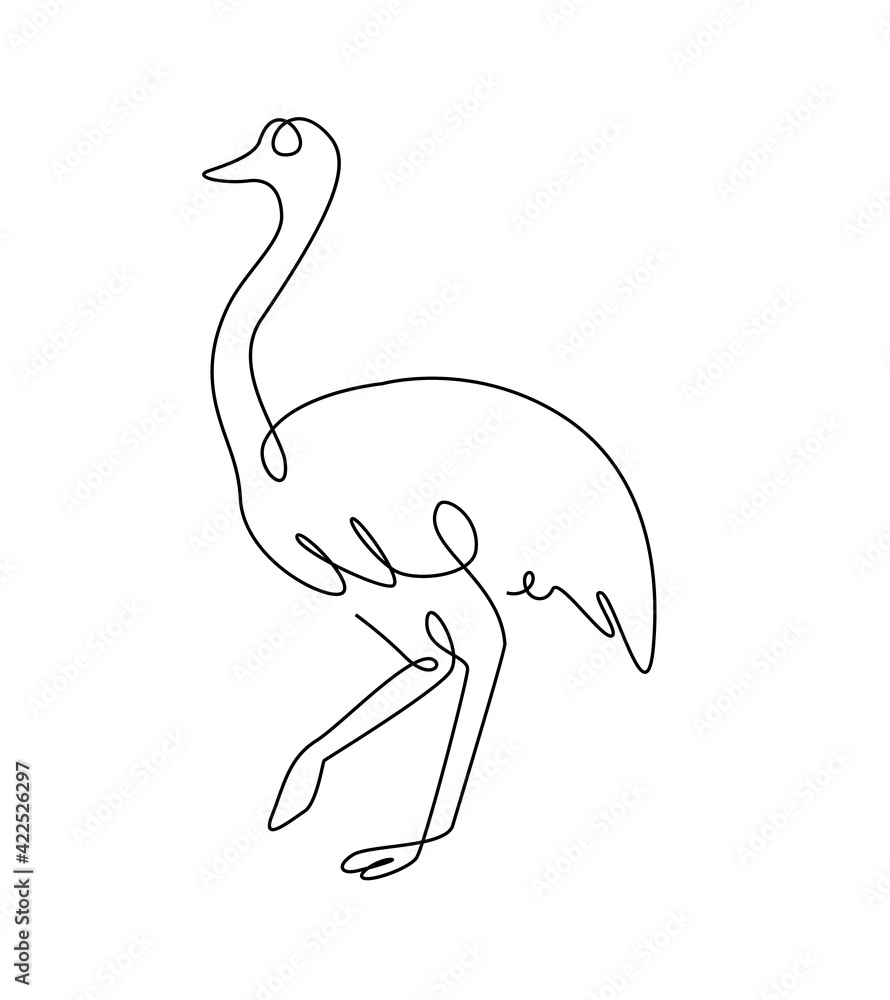 Wall mural emu line art. australia emu bird in outline style. ostrich one line. vector continuous line.