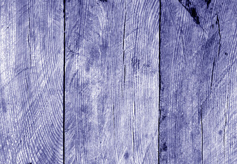 Wall made of uncutted weathered wood boards in blue tone.