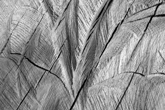 Part of wood curving on oak in black and white.