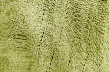 Part of wood curving on oak in yellow tone.