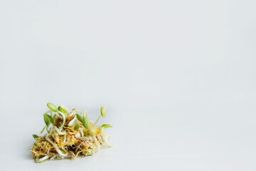 sprouted pumpkin seeds on a white background
