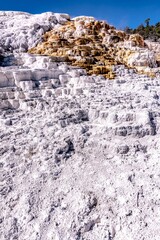 beautiful scenery at mammoth hot spring in yellowstone