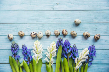 easter quail eggs in a line and spring- blooming hyacinths on a blue wooden background, copy space included perfect for easter greeting cards - 422529272