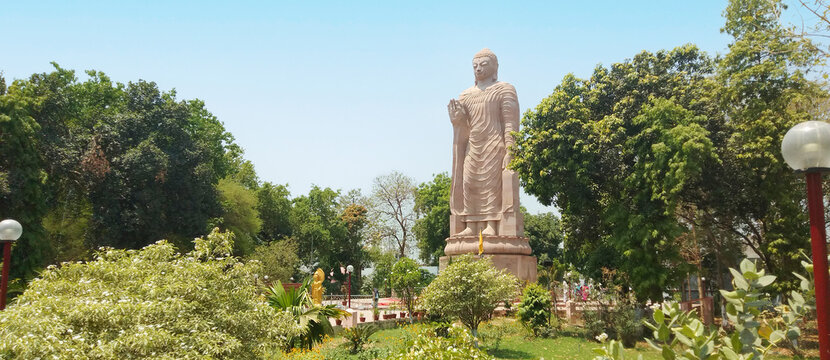 This is photo Buddha stand with sky and tree in Sarnath Varanasi U.P. India