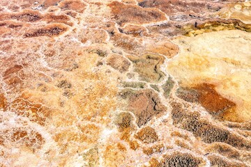 beautiful scenery at mammoth hot spring in yellowstone