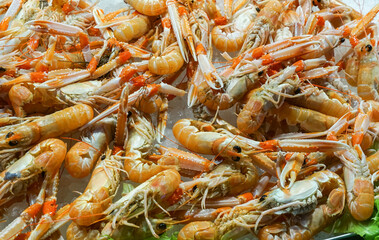 Langoustines for sale at Rialto Fish Market, Mercato di Rialto in Venice, Italy