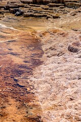 Travertine Terraces, Mammoth Hot Springs, Yellowstone
