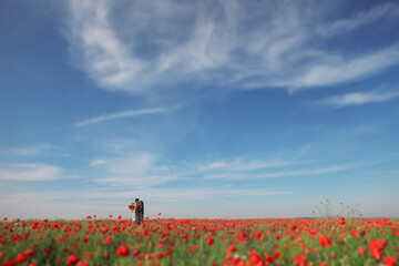 field of red poppies, field of poppies, poppy field in summer, poppy field with sky,  many poppys,...