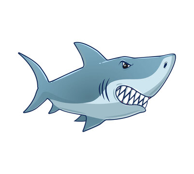 Cartoon Shark Vector isolated illustration