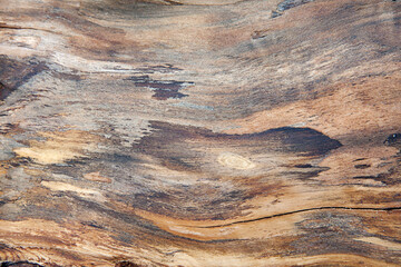 Abstract background. Wood texture in brown tones