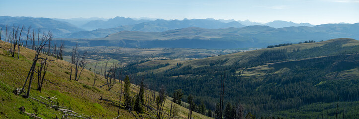 scenery at Mt Washburn trail in Yellowstone National Park, Wyoming, USA