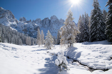 Fototapeta na wymiar Val Venegia autunno sotto la neve, paesaggio innevato delle Pale di San Martino. Dolomiti innevate