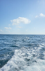 Sailing the ocean, seascape on a sunny summer day.