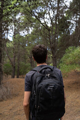 Young male explorer walking in a pine forest. Vertical shot.