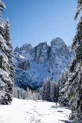 Val Venegia autunno sotto la neve, paesaggio innevato delle Pale di San Martino. Dolomiti innevate