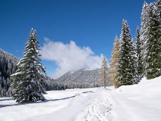 Fototapeta na wymiar mountain winter alps landscape, dolomites natural park