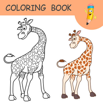 Coloring book with fun character Giraffe. Colorless and color samples Giraffe on coloring page for kids. Coloring design in cute cartoon style. Black contour silhouette with a sample for coloring.