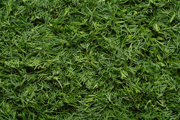 Background from cut green fresh dill. Seasonal vegetables for vitaminization and health