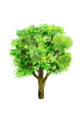 水彩風　木　シンプル　イラスト