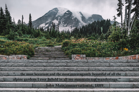 Stone steps  with a quote from John Muir "...the most luxuriant and the most extravagantly beautiful of all the alpine gardens I ever beheld in all my mountain-top wanderings." in Paradise, WA, USA. 