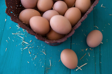 fresh organic eggs on turquoise background