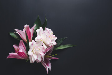 Beautiful lilies on dark background