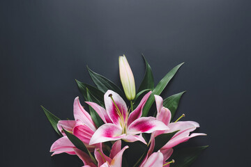 Beautiful lilies on dark background
