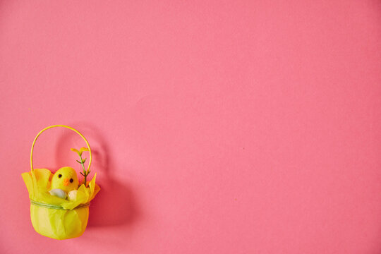 Easter chick on the pink background. Happy Easter. Holiday concept.