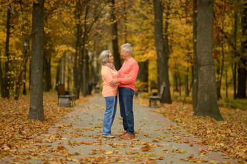 beautiful senior couple embracing   in park