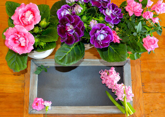 leere Tafel für einen Spruck mit Frühlingsblumen