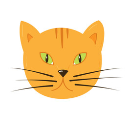 The muzzle of a ginger cat is full face only the head. Doodle colored isolated objects on a white.