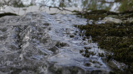 water flowing in the forest, Wait it's Ice  !!