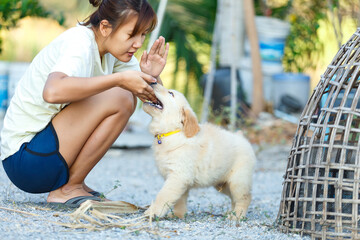 A woman trying stop her puppy golden retreiver bitting her hand.