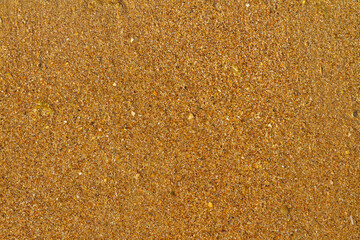 Texture of wet sea yellow coarse sand