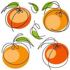 Orange, tangerine, mandarin one line, drawn Tropical fruit with color spots. Organic simple icon. Food object in minimal graphic hand drawn style. Isolated on white background. Vector set.