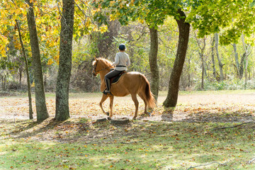 Unrecognizable wealthy woman rides horseback through a park trail gracefully past trees on a beautiful autumn day