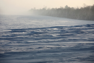 Obraz premium Sunny winter morning. In the field strong wind formed snow barkhans. In the distance the dark strip designated a wood contour.