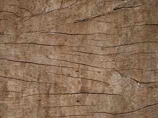 Old wood background.