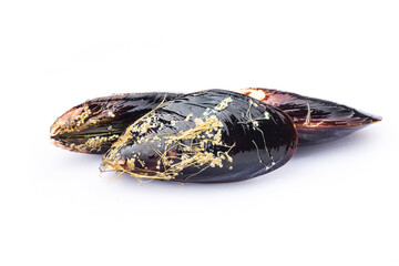 Cooked mussels are isolated on a white background.