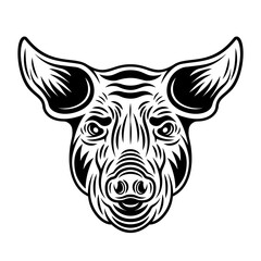 Pig head front view vector monochrome illustration in vintage style isolated on white background