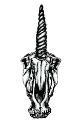 vector illustration of a black and white hand drawn skull unicorn